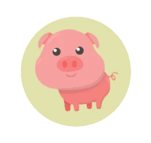cochon
